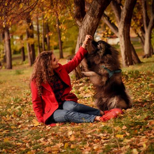 Photo #11749218