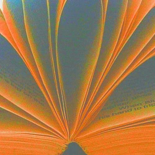 Photo #11749274