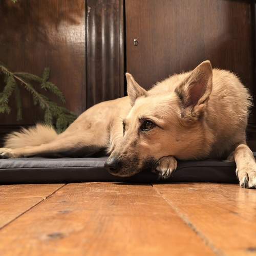 Photo #11749447