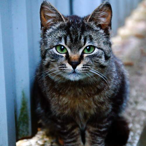 Photo #11749527