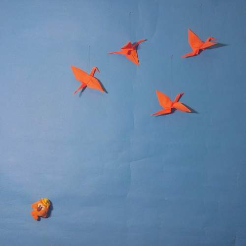 Photo #11749532