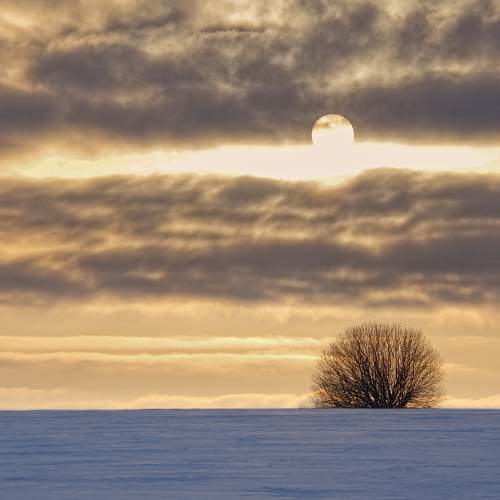 Photo #11749676