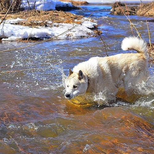 Photo #11749744