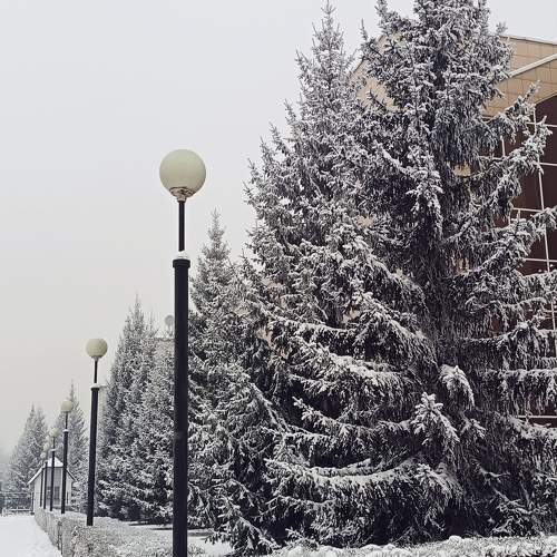 Photo #11749759