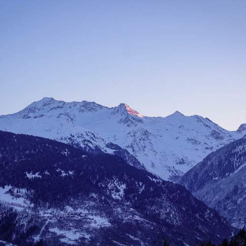 Photo #11749834
