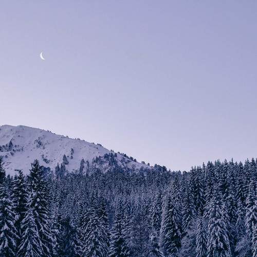 Photo #11749835