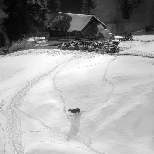 Photo #11749852