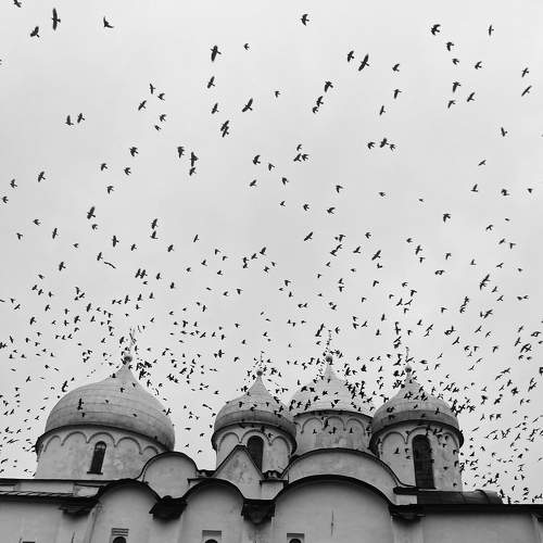 Photo #11749978