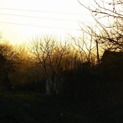 Photo #1175090