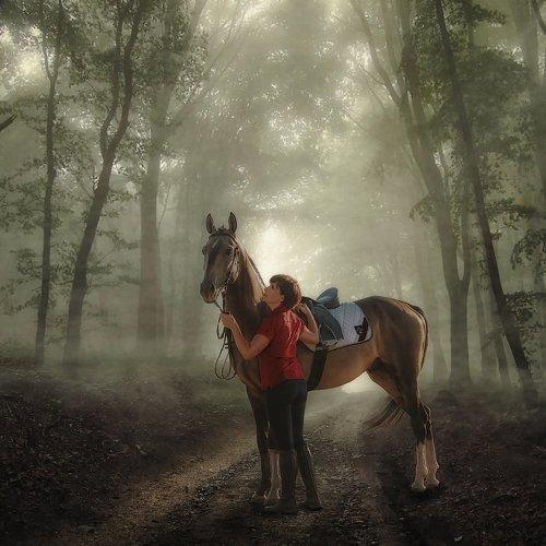 Photo #1175441