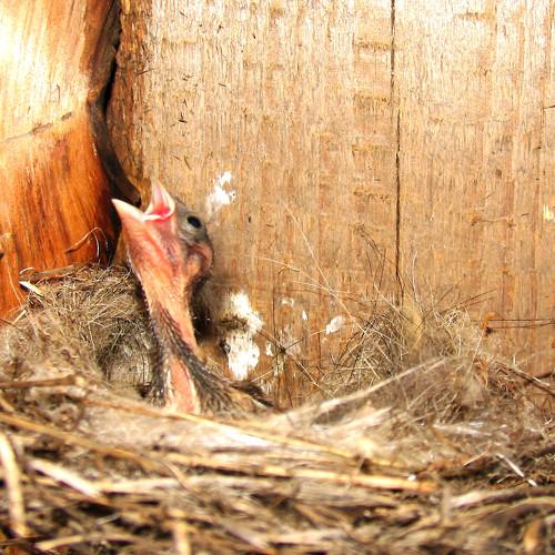 Photo #1177342