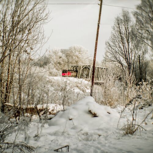 Photo #1179580