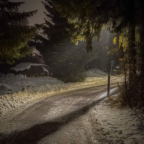 Photo #11750023