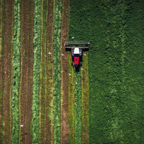 Photo #11750130