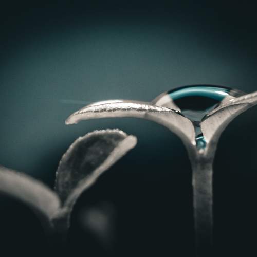 Photo #11750322