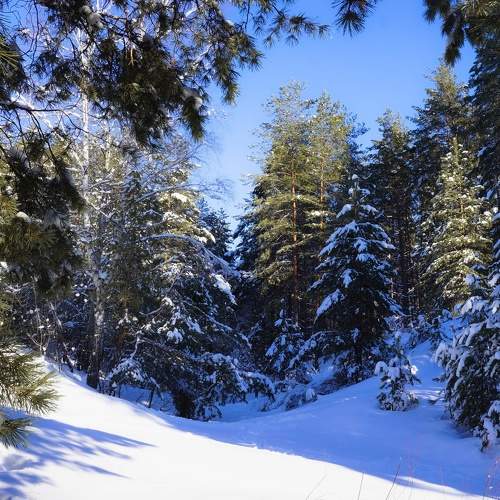 Photo #11750341
