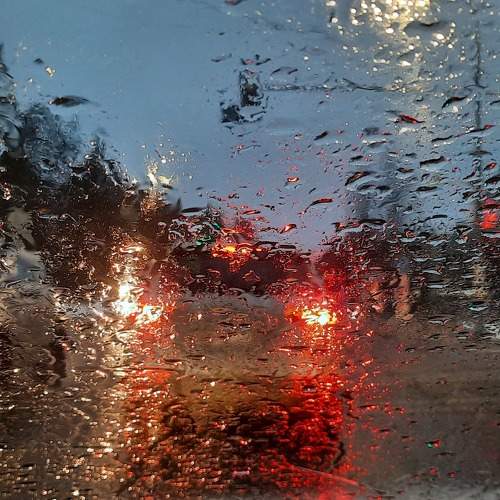 Photo #11750350