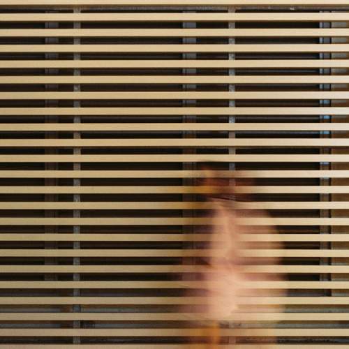 Photo #11750493