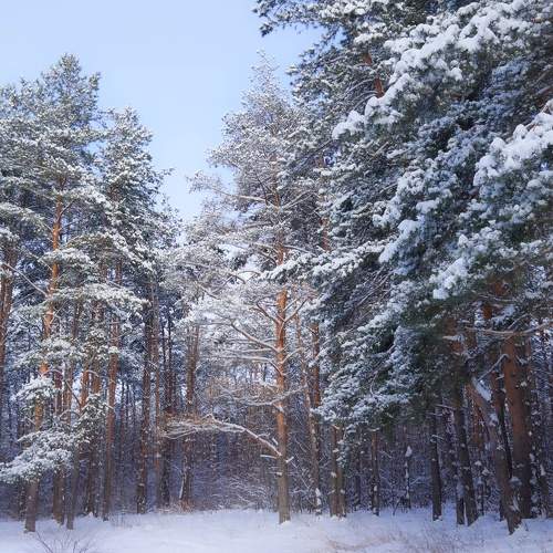 Photo #11750506