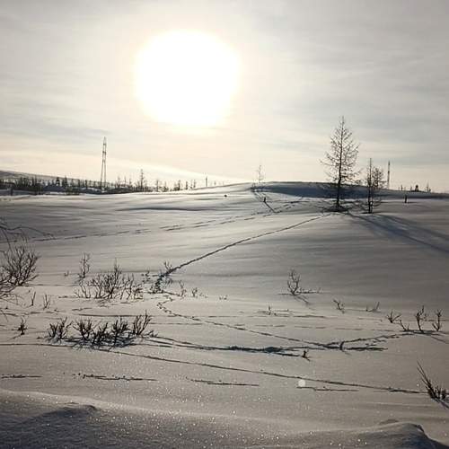 Photo #11750508