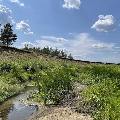 Photo #11750547