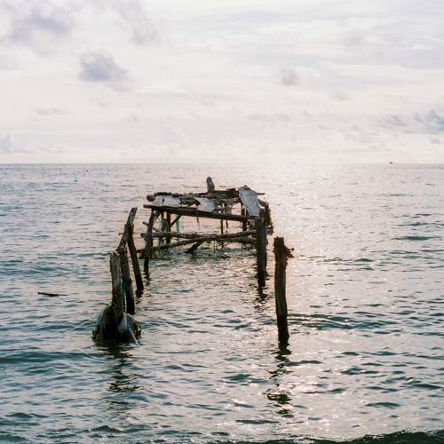 Photo #11750640