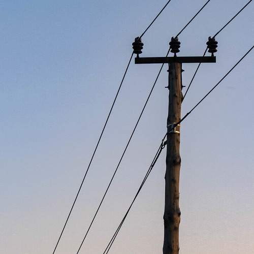 Photo #11750731