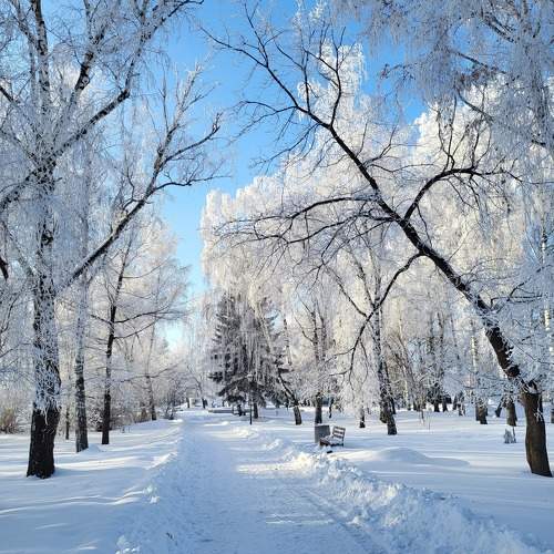 Photo #11751174