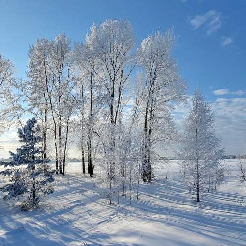 Photo #11751180