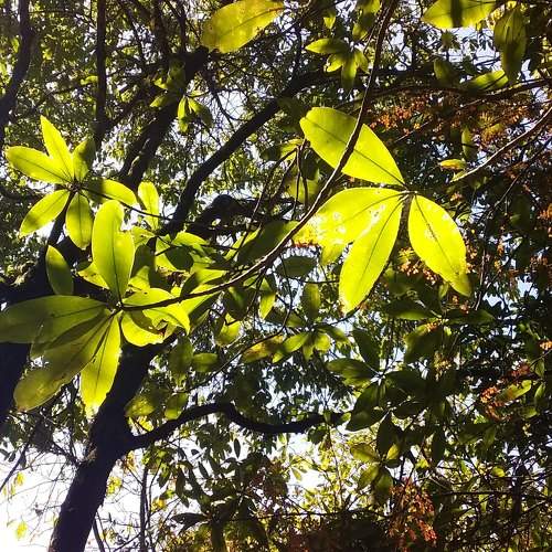 Photo #11751440