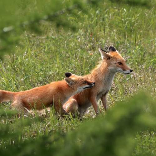 Photo #11751472