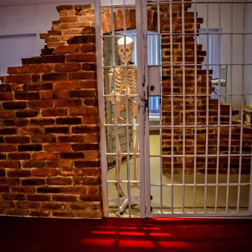 Фотография #11751531