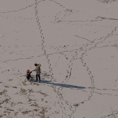 Photo #11751553