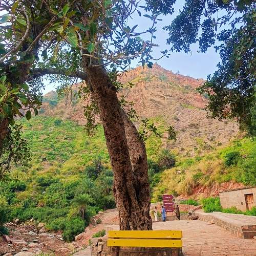 The Trail to Nandna Fort