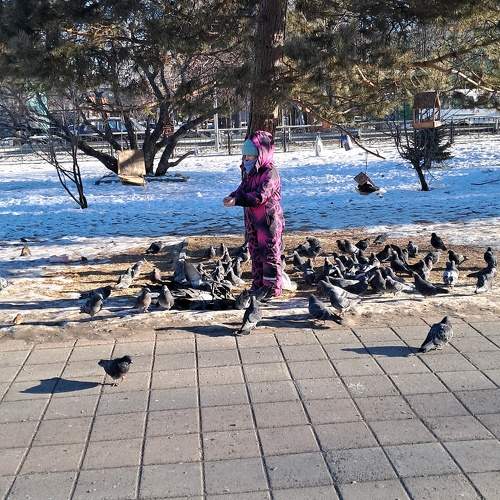 Photo #11751642