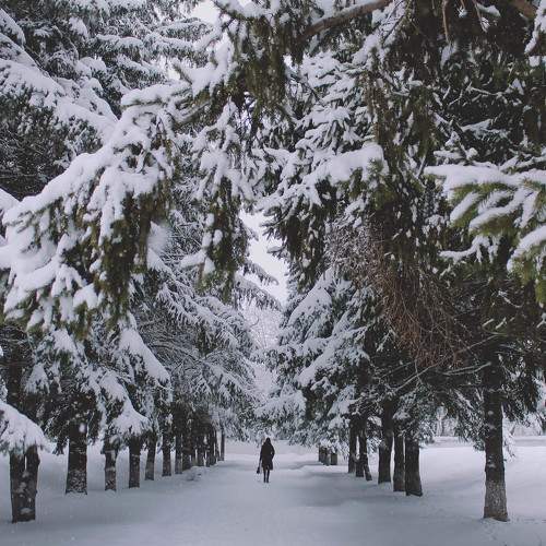 Photo #11751706