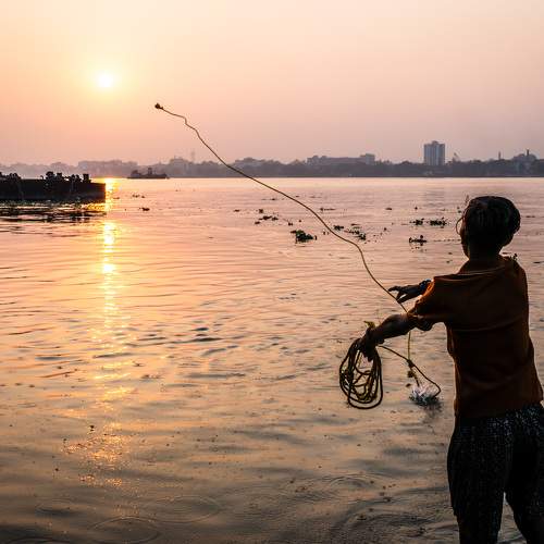 Photo #11751712