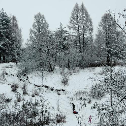 Photo #11751716