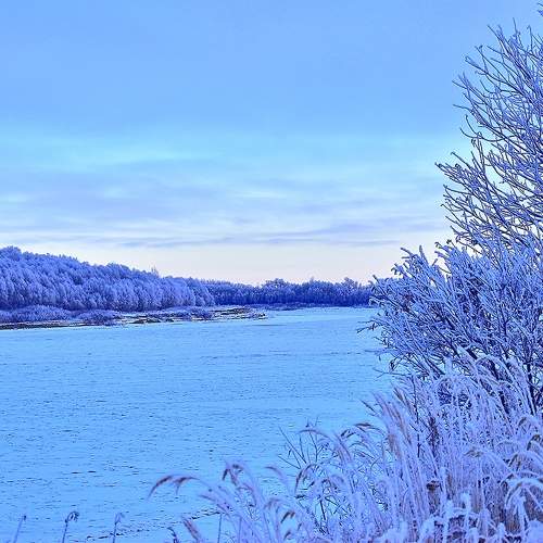 Photo #11751906