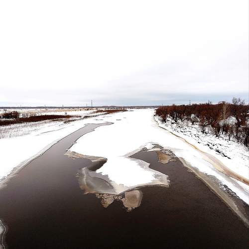 Photo #11751919