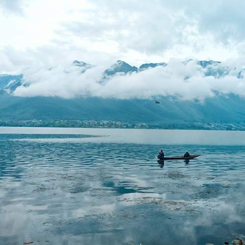 Photo #11752087