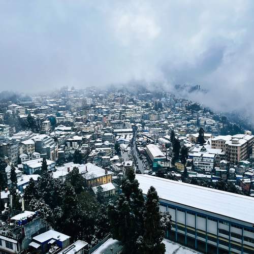 Photo #11752200