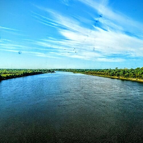 Photo #11752270