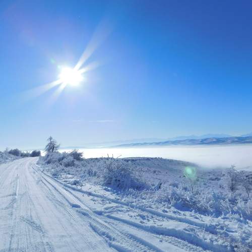 Photo #11752476