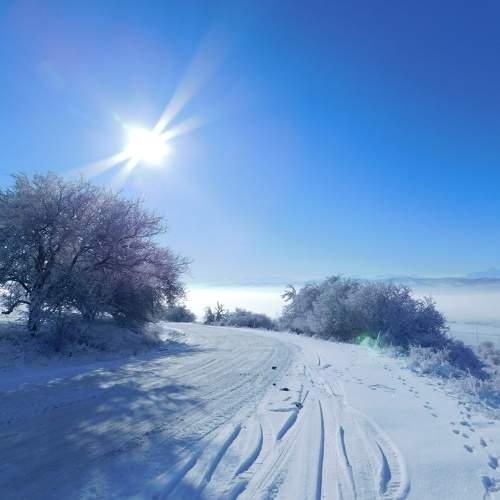 Photo #11752486
