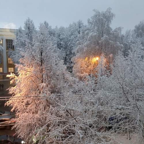Photo #11752569