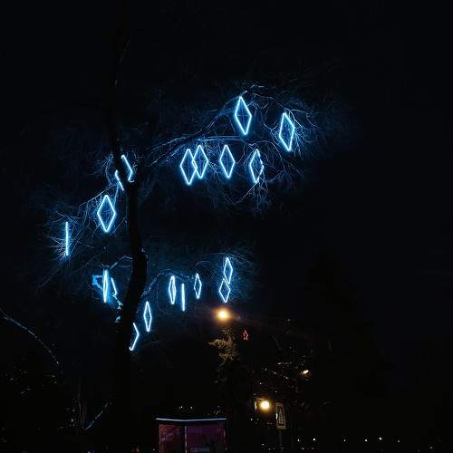 Photo #11752733