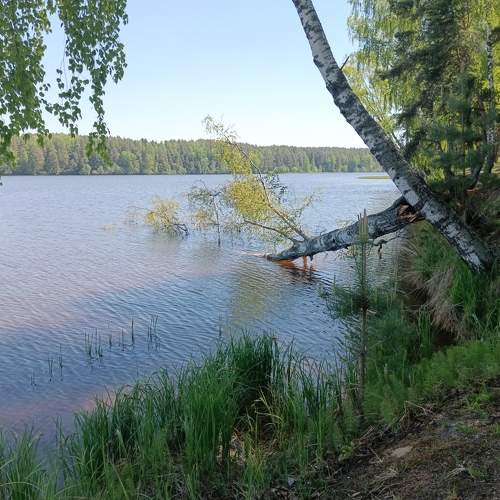 Photo #11752758
