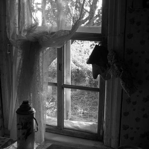 Photo #11752776