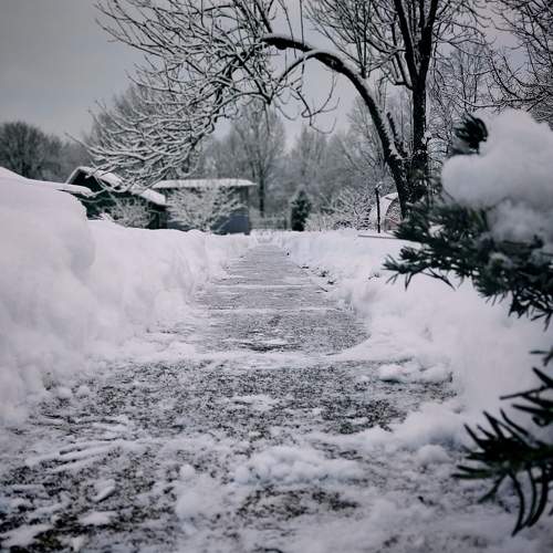 Photo #11752824